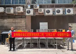 大树之光x守护童心计划第四期